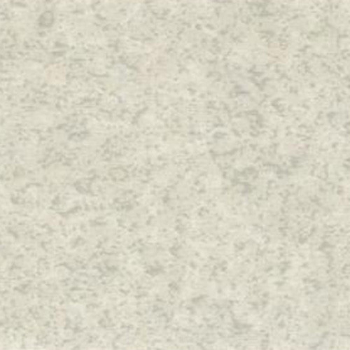 3101