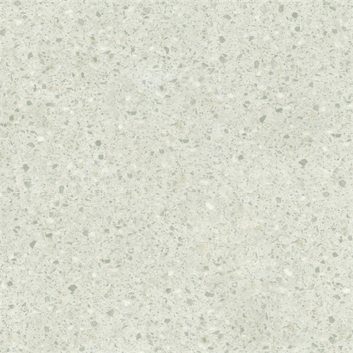 SW-1001