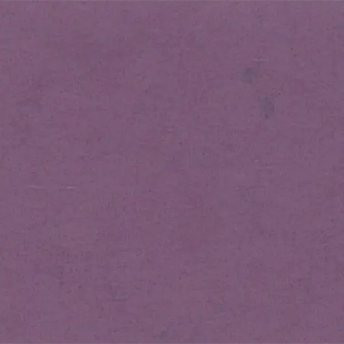 0863 Violeta
