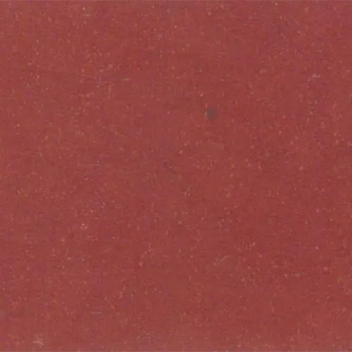 0308 Rojo Buckeye