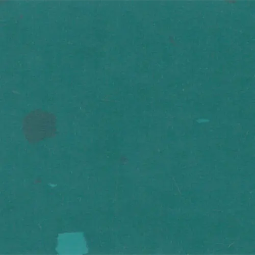 8845 Teal Chip